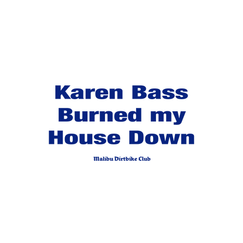 Karen Bass Burned my House Down T