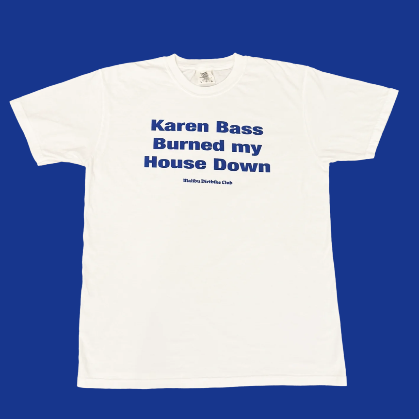 Karen Bass Burned my House Down T